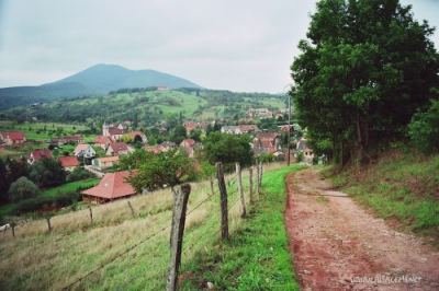 Weingärten oberhalb von St. Pierre Bois